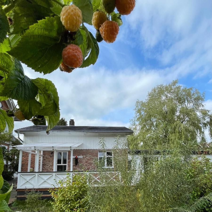 Leben Am See Hemmoor Exterior photo